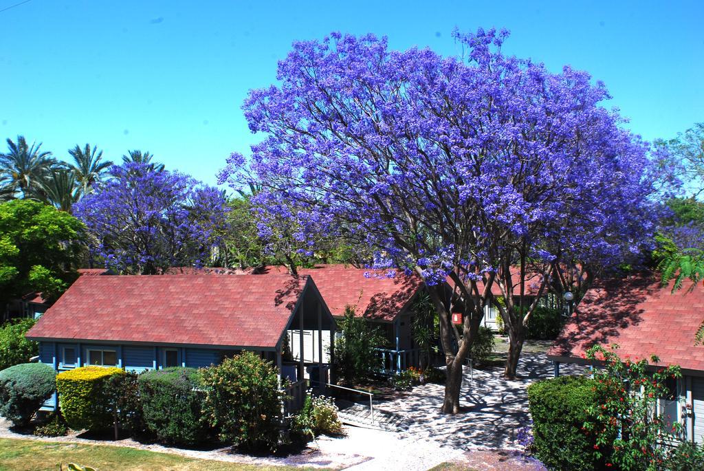 Nir David Country Lodge Buitenkant foto